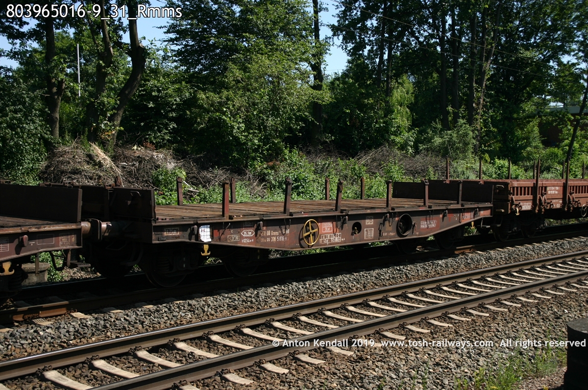 803965016-9_31_Rmms.jpg
